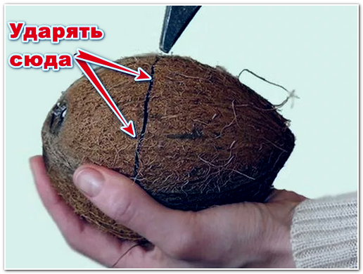 Как расколоть кокосовый орех