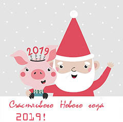 удачи в Новом году 2019 Свиньи