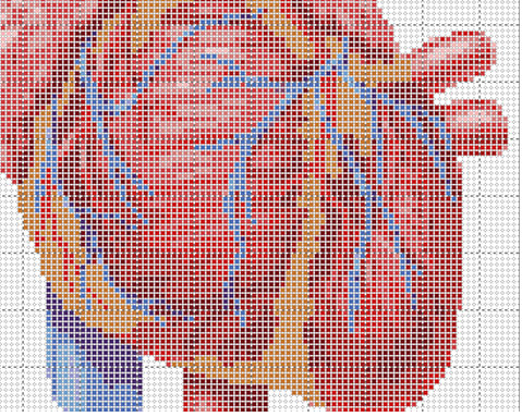 реалистичное анатомическое сердце вышивка крестиком схема