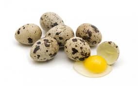 польза перепелиных яиц