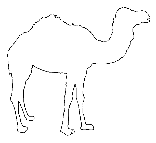 верблюд