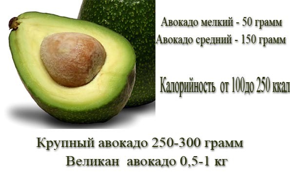 вес авокадо