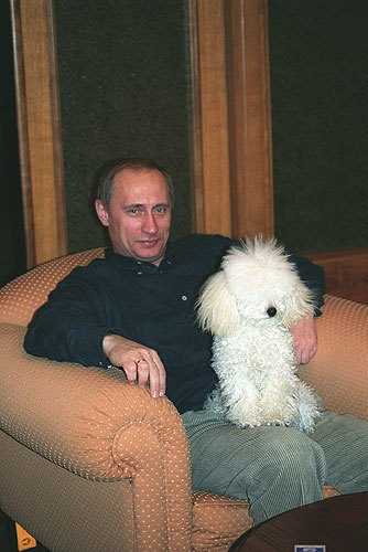 Путин и собаки