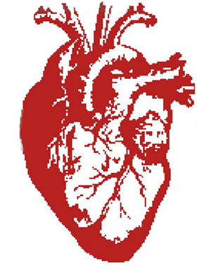 реалистичное анатомическое сердце вышивка крестиком схема