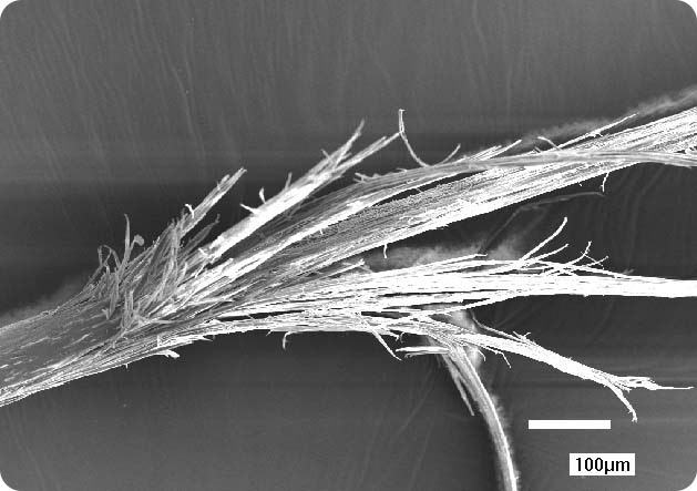 секущиеся концы волос под микроскопом