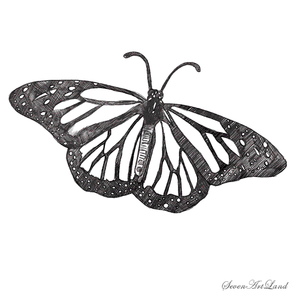 Как нарисовать бабочку Монарх