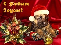 открытка Новый год Собаки