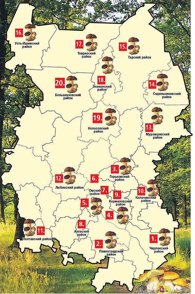 карта грибных мест Омской области