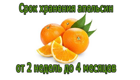 срок хранения апельсин