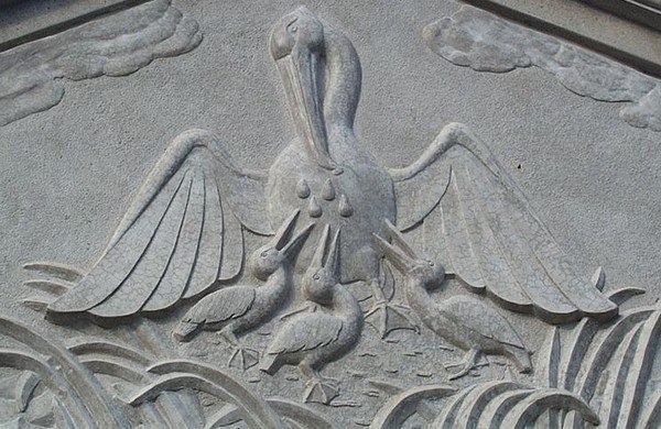 пеликан символ педагогики донорства христианства