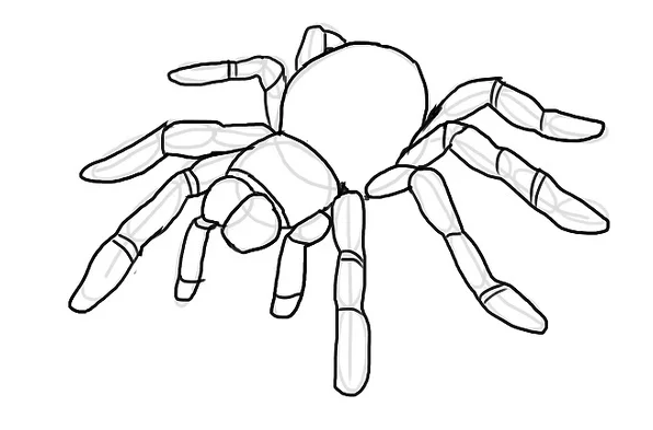 рисунок паук 3д
