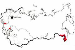 места обитания лотоса в России