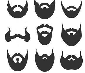 Предложения со словом борода