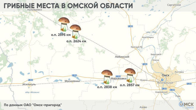 карта грибных мест Омской области