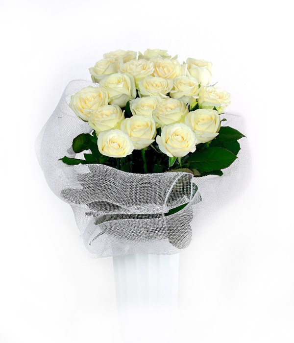 21 белая роза букет